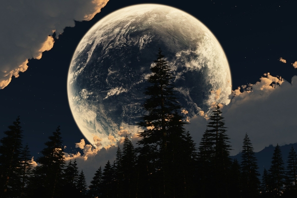 nature trees moon skyscapes 1920x1280 wallpaper_wallpaperswa.com_19